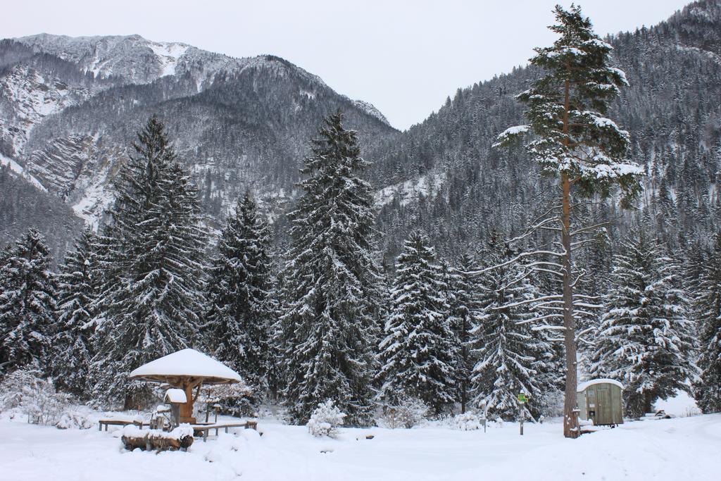Zugspitz Apartment