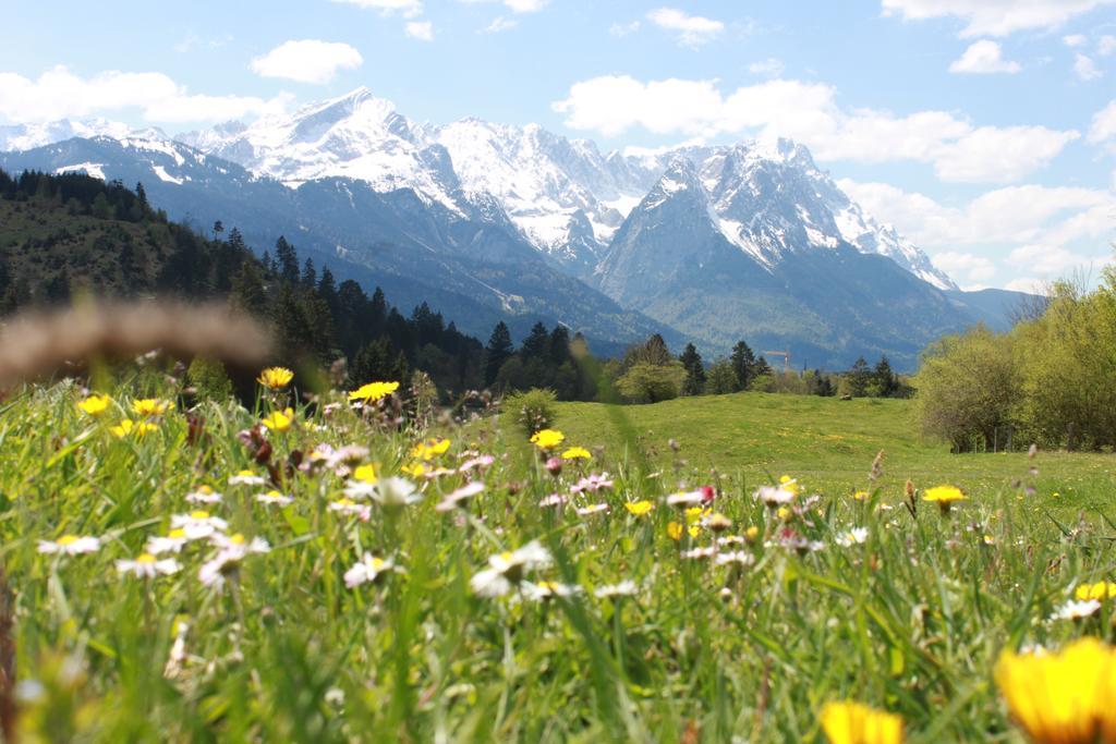 Apartment Zugspitz